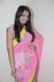 Actress Nikita Narayan Hot Photos in Pink Saree