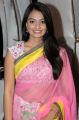 Actress Nikita Narayan Hot Photos in Pink Saree