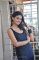 Nikitha Narayan Hot Stills