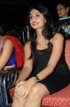 Nikitha Narayan Hot Photos At Second Hand Audio Launch