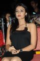 Nikitha Narayan Hot Photos At Second Hand Audio Launch