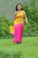 Nikitha Narayan Hot Saree Stills