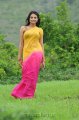 Nikitha Narayan Hot Saree Stills