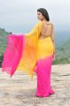 Nikitha Narayan Hot Saree Stills