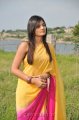 Nikitha Narayan Hot Saree Stills