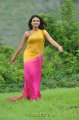 Nikitha Narayan Hot Saree Stills