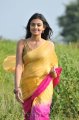 Nikitha Narayan Hot Saree Stills