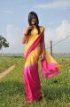 Nikitha Narayan Hot Saree Stills