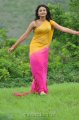 Nikitha Narayan Hot Saree Stills