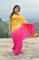 Nikitha Narayan Hot Saree Stills