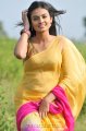 Nikitha Narayan Hot Saree Stills