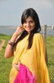 Nikitha Narayan Hot Saree Stills