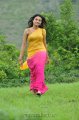 Nikitha Narayan Hot Saree Stills