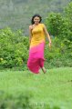 Nikitha Narayan Hot Saree Stills