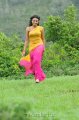 Nikitha Narayan Hot Saree Stills