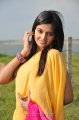 Nikitha Narayan Hot Saree Stills