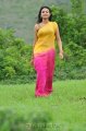 Nikitha Narayan Hot Saree Stills