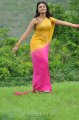 Nikitha Narayan Hot Saree Stills