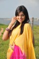 Nikitha Narayan Hot Saree Stills