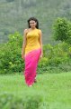 Nikitha Narayan Hot Saree Stills