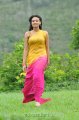 Nikitha Narayan Hot Saree Stills