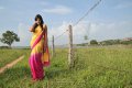 Nikitha Narayan Hot Saree Stills