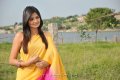 Nikitha Narayan Hot Saree Stills