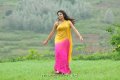 Nikitha Narayan Hot Saree Stills