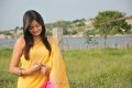 Nikitha Narayan Hot Saree Stills