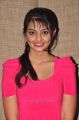 Actress Nikitha Narayan in Pink Full Skirt Hot Stills