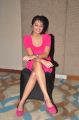 Actress Nikitha Narayan Hot Stills in Pink Full Skirt