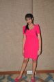 Nikitha Narayan Hot Stills in Pink Full Skirt Dress