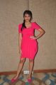 Nikitha Narayan Hot Stills in Pink Full Skirt Dress