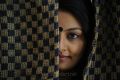 Actress Nikitha Narayan in Saree Photos from Vamsy New Movie
