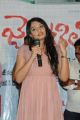 Nikitha Narayan Pictures @ Ladies and Gentleman Promotional Song Launch
