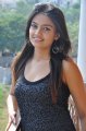 Nikitha Narayan Latest Stills