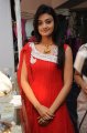 Nikitha Narayan Cute Pictures