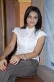 Nikitha Narayan New Cute Stills