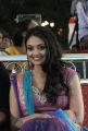 Actress Nikitha Narayan Stills @ Thanu Monne Vellipoyindi Audio Release