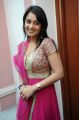 Telugu Actress Nikitha Hot Photos in Churidar Dress