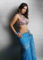 Actress Nikita Thukral Hot in Saree Photoshoot Photos
