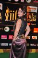 Actress Nikitha Hot Pics @ IIFA Utsavam Awards 2016