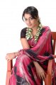 Nikitha Thukral in Saree Photo Shoot Stills