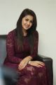 Marakathamani Actress Nikki Galrani Latest Photos in Purple Dress