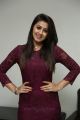 Actress Nikki Galrani Gorgeous Photos in Purple Outfit