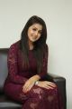 Actress Nikki Galrani Gorgeous Photos in Purple Outfit