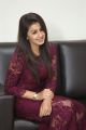 Actress Nikki Galrani Gorgeous Photos in Purple Outfit