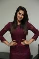 Marakathamani Actress Nikki Galrani Latest Photos in Purple Dress