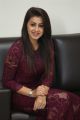 Actress Nikki Galrani Photos in Purple Dress @ Marakathamani Movie Interview