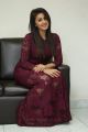 Actress Nikki Galrani Latest Photos in Purple Dress